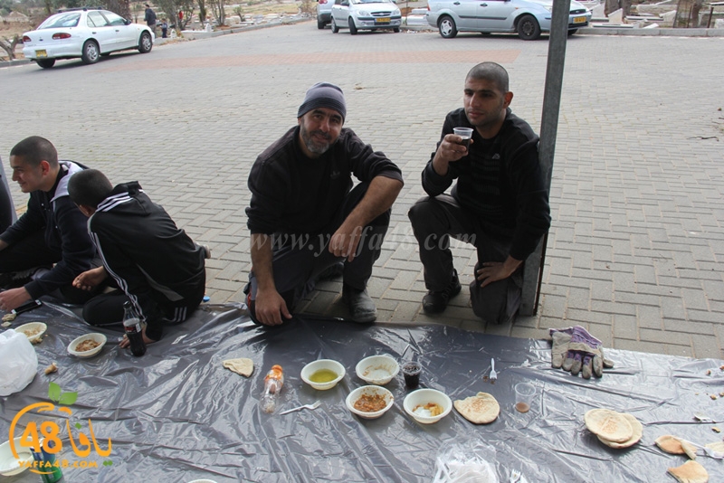 taso mashro3 tandaef (38).JPG